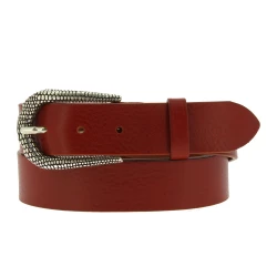 Brown leather belt with metal scaled buckle